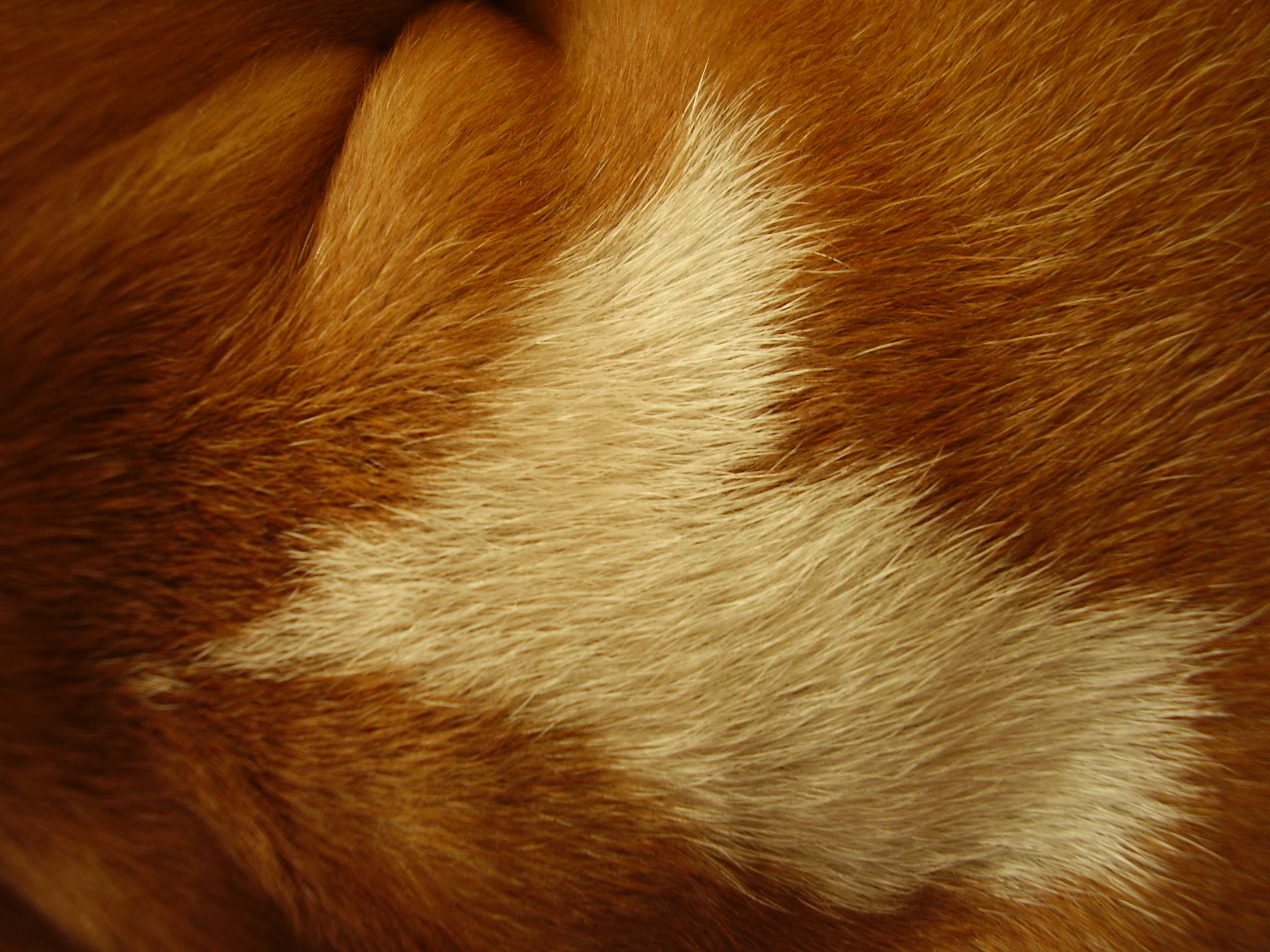 P7110043.JPG